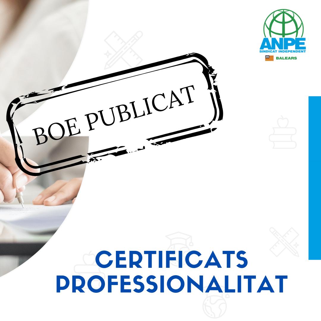 boe-publicat--1-