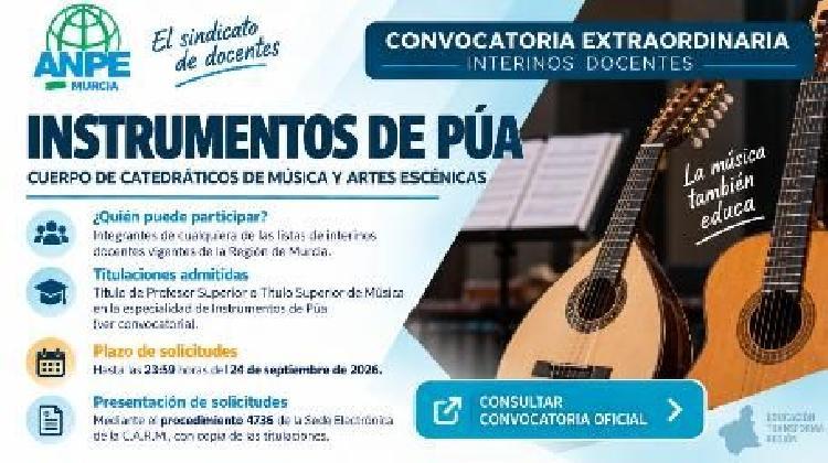 06_convocatoria_instrumentos_de_pua