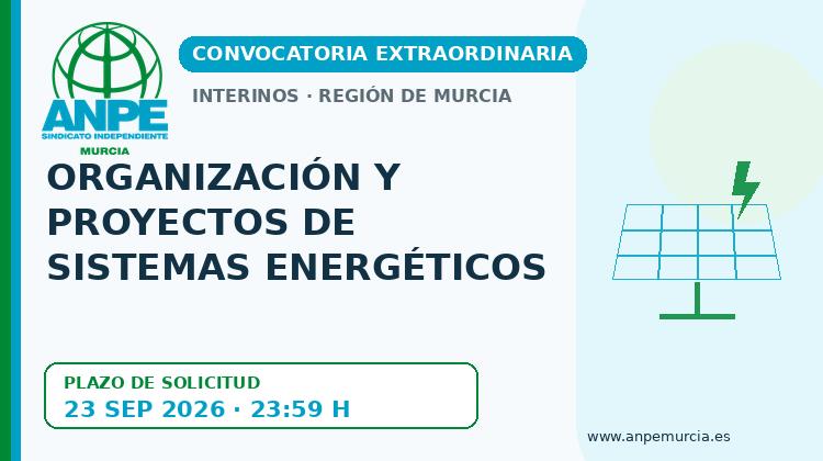 208981_organizacion_y_proyectos_de_sistemas_energe