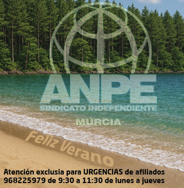 Elecciones